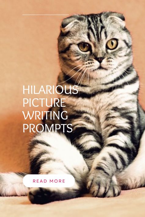 Looking for a fun way to spark your creativity? Check out these funny picture writing prompts! Designed to give you that swift kick of inspiration, these hilarious images are perfect for getting your storytelling flow going. Whether you're studying at home or looking to inject humor into your writing projects, these prompts can add that much-needed laughter to your routine. Soon you'll be crafting humorous narratives that will entertain readers and stimulate your imagination like never before. Say goodbye to writer's block and hello to creativity! Image Prompts Writing, Funny Picture Writing Prompts, Creative Writing Pictures, Studying At Home, Hilarious Images, Free Writing Prompts, Writing Prompts Inspiration, Image Prompts, Picture Writing