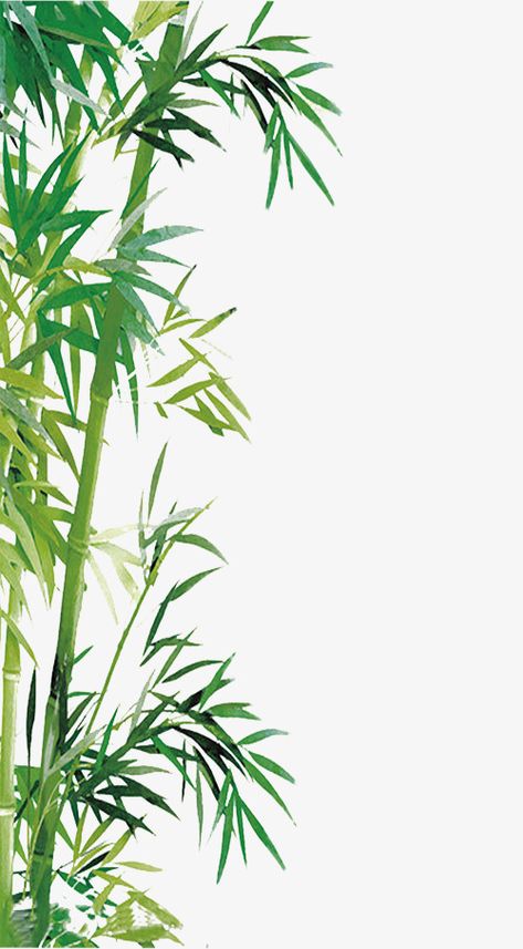 Bamboo Wallpaper Backgrounds, Bamboo Tree Wallpaper, Bamboo Tree Painting, Bamboo Design Ideas, Bamboo Clipart, Bamboo Mural, Bamboo Illustration, Bamboo Art Painting, Chinese Clipart