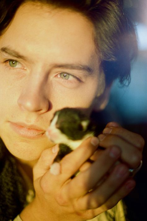 Aww look how cuteee!! Oh look there’s a kitten After Forever, Cole Sprouse Aesthetic, Cole Sprouse Hot, Cole Spouse, Cole Baby, Cole Sprouse Jughead, Cole M Sprouse, Riverdale Cole Sprouse, Dylan And Cole