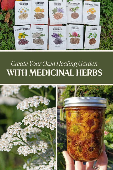 Discover the secrets of cultivating a healing garden with medicinal herbs! Learn how to grow magic herbs and healing plants that can transform your health. From horsetail benefits to herbal preparations, explore herbalism for beginners and make your garden a sanctuary of natural remedies. Herbalism For Beginners Natural Remedies, Healing Herbs Medicine Natural Remedies, Holistic Herbs Herbal Medicine, Herbalism For Beginners, Medicinal Properties Of Herbs, Medical Herbs And Their Uses, Herb Books Herbal Medicine, Holistic Recipes, Food Medicine