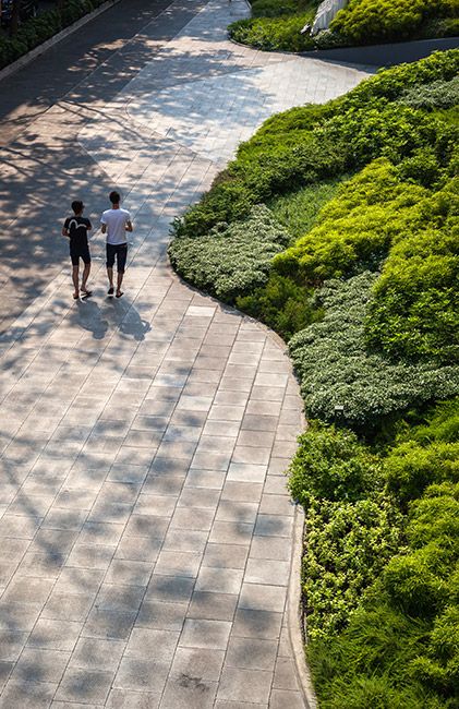 http://www.landezine.com/index.php/2015/04/roof-garden-bangkok-landscape-architecture/ Easy Landscaping, Landscape Architecture Design, Landscaping Supplies, Have Inspiration, Landscape Plans, Landscaping Tips, Roof Garden, Landscape Projects, Contemporary Landscape