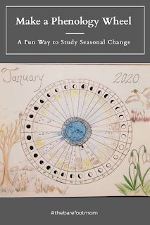 Phenology Wheel Nature Journal, Witchy Homeschool, Phenology Wheel, Adventure Classroom, Homeschool Stem, Nature Lessons, Stem School, Homeschool Nature Study, Shape Chart