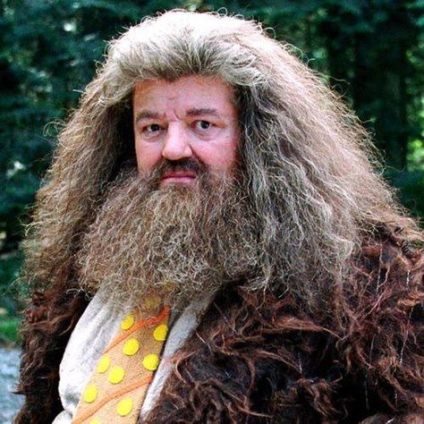 Hagrid Ron E Hermione, Hogwarts Professors, Film Harry Potter, Robbie Coltrane, Rubeus Hagrid, Mickey Rourke, Magic Wands, Images Harry Potter, The Prisoner Of Azkaban