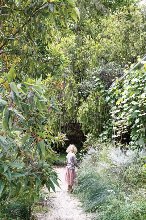 An updated weatherboard cottage in Lorn, NSW Australian Cottage, Weatherboard Cottage, Australian Garden Design, Australian Country, Recycled Brick, Country Gardens, Chicken Garden, Dry Garden, Australian Garden