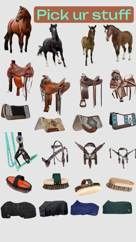 Cute Horse Tack Western, Western Tack Sets Barrel Racing, Barrel Racing Saddle Pads, Barrel Racing Saddles For Sale, Western Horse Tack Sets Barrel Racing, Western Riding Tack, Western Pleasure Outfit, Barrel Racing Saddle, Western Horse Tack Turquoise