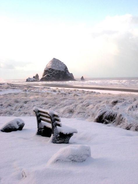 Snow in Cannon Beach! Pnw Winter, Oregon Pictures, Canon Beach, Beautiful Oregon, Oregon Photography, Oregon Waterfalls, Cannon Beach Oregon, Winter Beach, Cascade Mountains