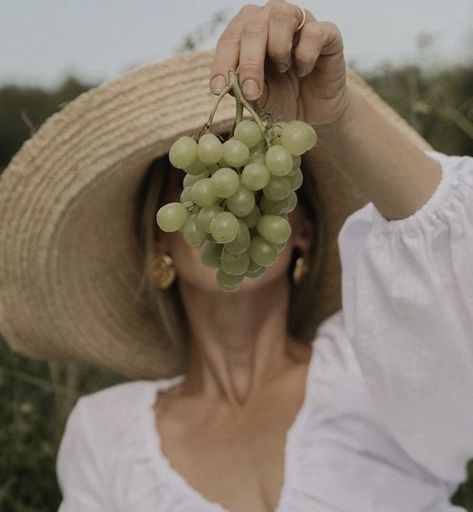 French Vineyard Aesthetic, Vineyard Photoshoot, Cottage Core Photoshoot, Emily Slotte, Napa Valley Wineries, Italian Aesthetic, Picnic Inspiration, Wine Photography, Grape Harvesting