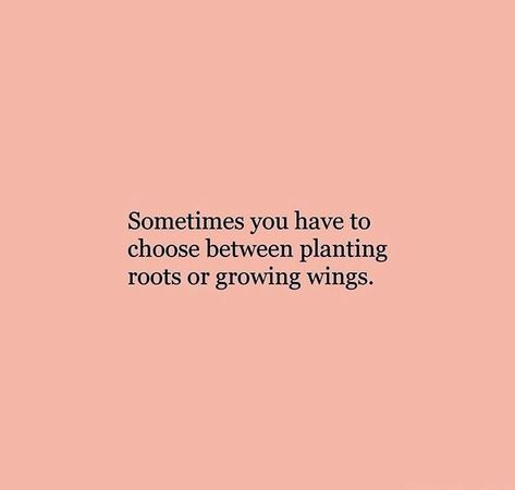 L〰 Peach Quote, Peach Aesthetic, Quote Aesthetic, Pretty Words, Boss Babe, The Words, Mantra, Inspirational Words, Cool Words