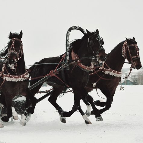 Russian History Aesthetic, Siberian Aesthetic, Russian Royalty Aesthetic, Russian Culture Aesthetic, Old Russian Aesthetic, Alexander Morozova, Slavic Winter, Russian Royalty, Slavic Folklore