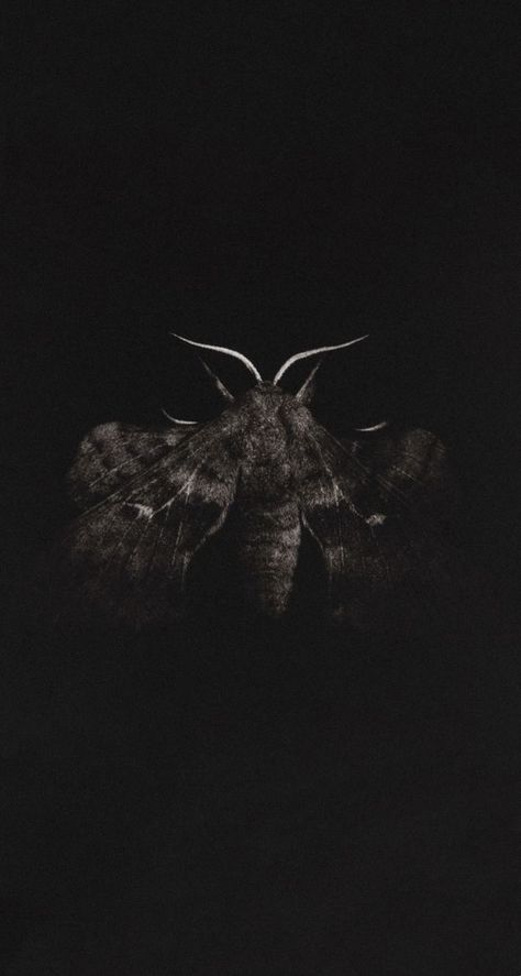 Moth Wallpaper Iphone, Moth Wallpaper Aesthetic, Sarah Gillespie, Moth Photography, Dark Fairycore Aesthetic, Moth Wallpaper, Gif Background, Dark Fairycore, Curse Of Strahd