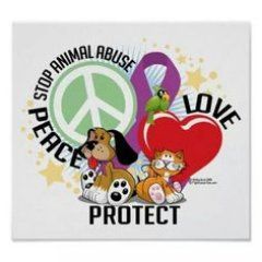 We Protect Animals Animal Protection Poster, Animal Shelter Fundraiser, Animal Rescue Fundraising, Animals Rights, Animal Rescue Stories, Art Appliqué, Stop Animal Cruelty, Animal Advocacy, Animal Protection