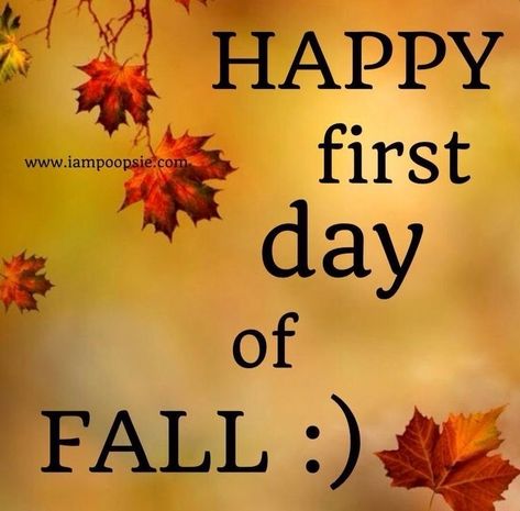 First Day Fall, 1st Day Of Autumn, Happy Fall Quotes, Happy 1st Day Of Fall, 1st Day Of Fall, New Month Quotes, Happy Thanksgiving Images, Happy Vacation, Fall Humor