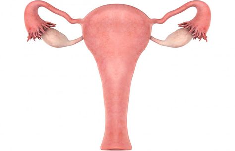 Enlarged Uterus, Reflexology Chart, Fertility Awareness, Polycystic Ovarian Syndrome, Menstrual Pain, Polycystic Ovaries, Human Anatomy And Physiology, Shaving