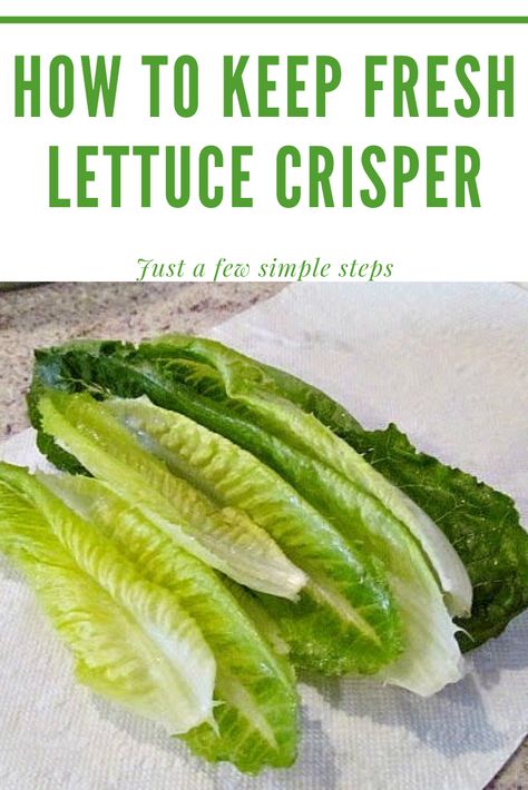 Keep Veggies Fresh Longer, How To Keep Lettuce Crisp, Storing Fresh Vegetables In Mason Jars, Keeping Romaine Lettuce Fresh, How To Keep Romaine Lettuce Fresh Longer, How To Preserve Lettuce In The Fridge, Best Way To Store Lettuce, Lettuce Storage How To Store, Keep Lettuce Fresh Longer How To Store