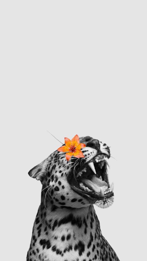 #myfirstshuffle#wallp#wallpapenaperoftheday #photo #jaguar #iPhonewallpaper Jaguar Wallpaper, Cheetah Wallpaper, Monogram Wallpaper, Cute Summer Wallpapers, Iphone Wallpaper Hd Nature, Iphone Wallpaper Photos, Apple Watch Wallpaper, Art Wallpaper Iphone, Retro Wallpaper