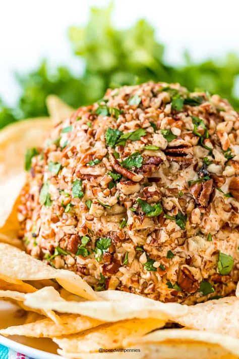 This cheese ball recipe is made with 5 ingredients and is so simple to prepare! Just combine cheese and seasoning, and roll in a nut & cilantro crust. It is so easy to make and is always a hit appetizer at parties. #spendwithpennies #cheeseball #tacocheeseball #Mexicancheeseball #appetizer #partyappetizer #cheeseballrecipe Taco Cheese Ball, Cream Cheese Balls Recipe, Easy Delicious Appetizers, Cream Cheese Ball, Cheese Ball Recipe, Ball Recipes, Bacon Mac And Cheese, Hot Appetizers, Easy Cold