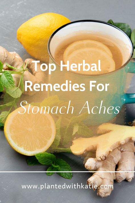 Herbal Remedies for Stomach Pain Herbs For Stomach, Tea For Stomach Ache, Remedies For Stomach Pain, Stomach Pain Relief, Stomach Ache Remedy, Stomach Remedies, Natural Remedies For Migraines, Pain Relief Remedies, Tummy Ache