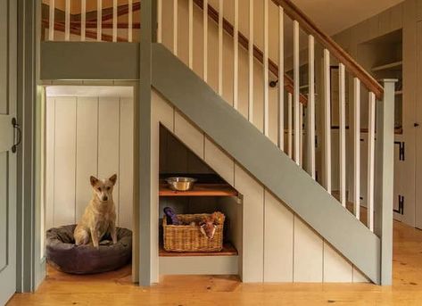 Bed Under The Stairs, Stairs Dog House, Under Stairs Dog House, Stairs Nook, Under Stairs Nook, Under Stairs Ideas, Room Under Stairs, Dog Space, تحت الدرج