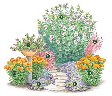 Hummingbird Garden Plan, Grow A Garden, Flower Garden Plans, Hummingbird Flowers, Corner Garden, Hummingbird Garden, Flower Garden Design, Low Maintenance Garden, Pollinator Garden