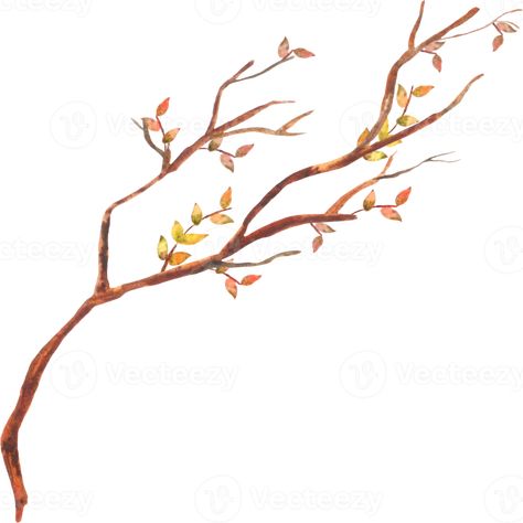 Fall Branches, Branch Watercolor, Branch Vector, Fall Watercolor, Wedding People, Cityscape Photos, Nature Backgrounds, Background Banner, Birds Painting