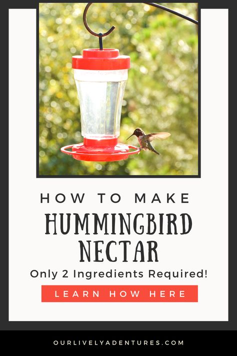 Welcome to your new hobby! Our Guide to Making Hummingbird Nectar at Home is your step-by-step journey to creating a sweet treat for your backyard friends. Fall in love with the joy of being a hummingbird's favorite pit-stop. Making Hummingbird Nectar, Homemade Hummingbird Nectar, Homemade Hummingbird Food, Hummingbird Nectar Recipe, Hummingbird Food, Hummingbird Nectar, Ruby Throated Hummingbird, Hummingbird Feeder, Bee Friendly