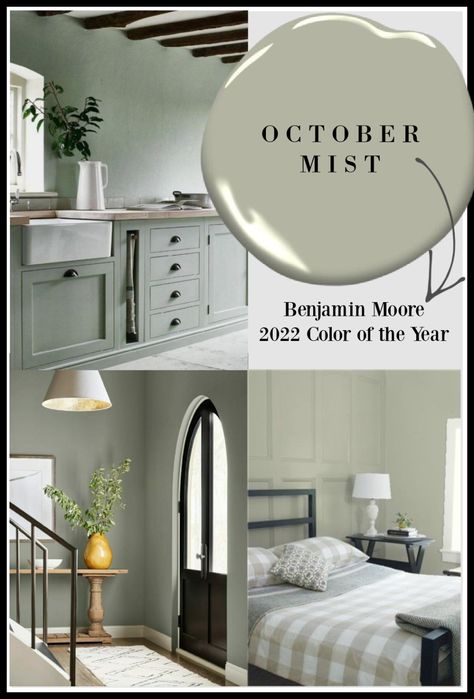 Come discover the paint color trends you'll likely see emerging in the 2020s as well as photos with designer-picked wall colors to try. Illusive Green Vs Evergreen Fog, Wallpaper And Paint Combination Bathroom, Serene Paint Colors, Misted Green Benjamin Moore, October Mist Benjamin Moore Kitchen, Benjamin Moore Flora, Benjamin Moore Paint Colors 2024, Bathroom Colors For 2024, October Mist Benjamin Moore