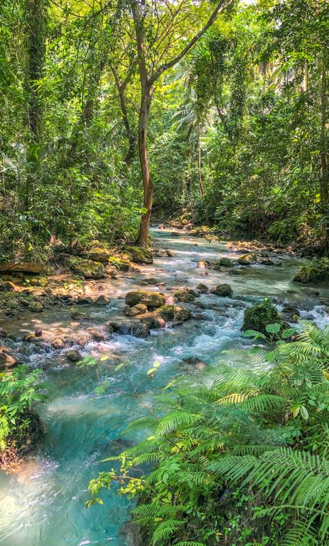 Alegria Cebu Aesthetic, Cebu Philippines Aesthetic, Nature In Philippines, Cebu City Aesthetic, Cebu City Photography, Cebu Aesthetic, Philippines Waterfalls, Places In Philippines, Kawasan Falls Cebu