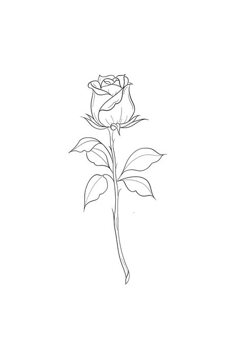 Rose Doodle Tattoo, Simple Rose Outline Tattoo, Fineline Rose Tattoo Design, 3 Roses Drawing, Small Rose Tattoo Simple, Rose Outline Tattoo, Minimalistic Tattoo Ideas, Rose Tattoo On Back, Rose Line Art