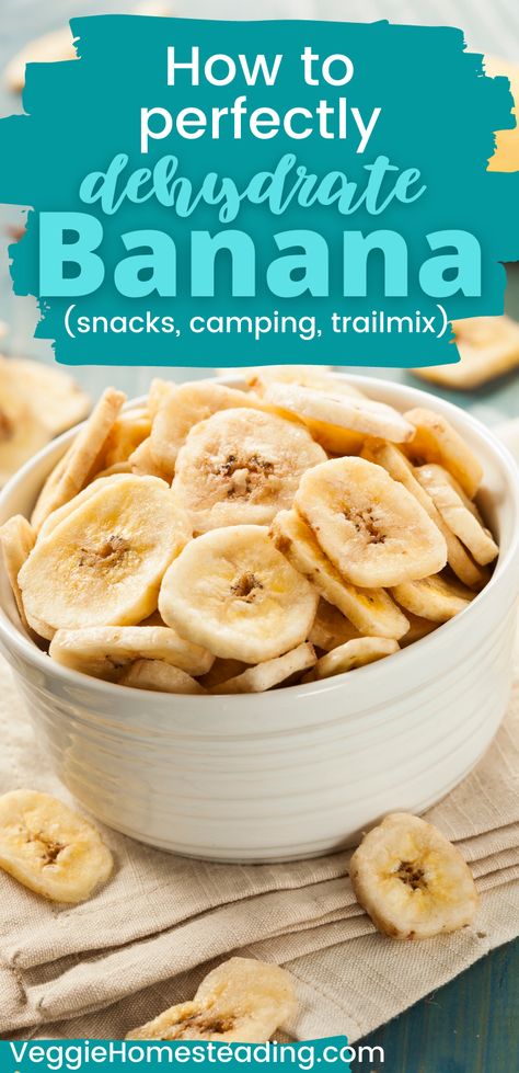 How to Perfectly Dehydrate Bananas - Veggie Homesteading Dehydrating Bananas, Dehydrate Bananas, Dehydrated Banana Chips, Dehydrator Recipes Fruit, Banana Chips Recipe, Dehydrated Bananas, Dehydrating Food Storage, Dried Banana Chips, Crispy Snacks