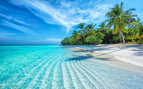 Maldives, The Beach, Twitter, Water, Blue