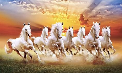 7horses Wallpaper, Feng Shui Horse, Seven Horses Painting, 7 Horses, Horses Painting, God Venkateswara Images Hd Wallpaper, Horse Canvas Painting, Wallpaper Room, Heineken Beer