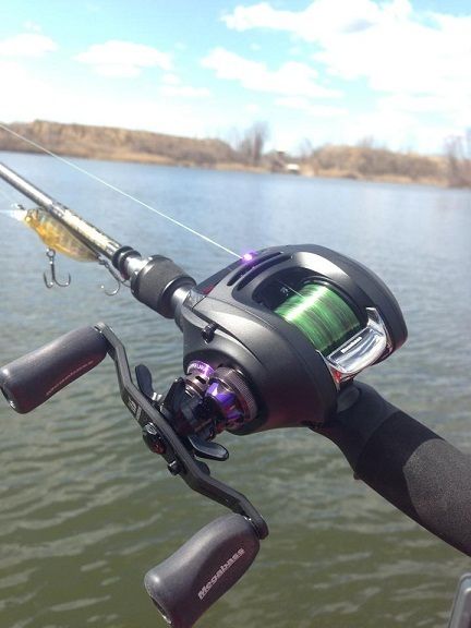 Reel Baitcaster Reels, Bait Caster, Hunting Supplies, Fishing Videos, Cool Gear, Tackle Box, Spinning Reels, Fishing Pole, Best Fishing