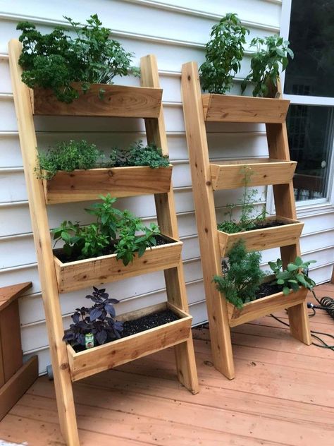 Herb Gardens Indoors, Vertical Garden Shelf, Garden Bed Ideas Small Space, Vertical Herb Wall Outdoors, In Home Garden Diy Small Spaces, Herb Garden For Patio, Outdoor Patio Herb Garden Ideas, Small Garden Organization, Back Deck Herb Garden