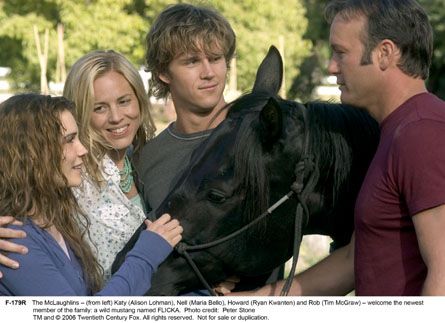 Flicka Flicka Movie, Alison Lohman, Ryan Kwanten, Horse Movies, Tim Mcgraw, Walk Of Fame, Show Horses, Wild Horses, Music Tv