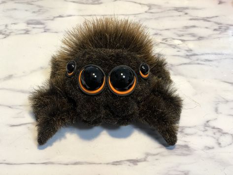 Lucas The Spider, Jumping Spiders, Eye Twitching, Spider Costume, Cool Insects, Creepy Spider, Homemade Halloween Decorations, Jumping Spider, Beautiful Bugs