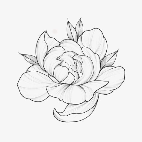 Whip Shading Tattoo Design, Whip Shading Tattoo, Sketch Tattoo Ideas, Hairline Tattoos, Shading Tattoo, Flowers Sketch, Sacred Heart Tattoos, Lady Tattoo, Peony Tattoo