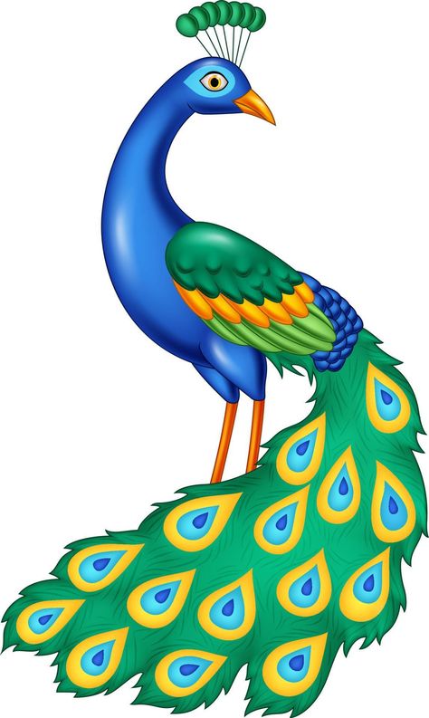 Peacock Drawing Images, Peacock Outline, Peacock Vector, How To Make Canvas, Peacock Logo, Peacock Drawing, Peacock Images, Peacock Photos, Peacock Pictures