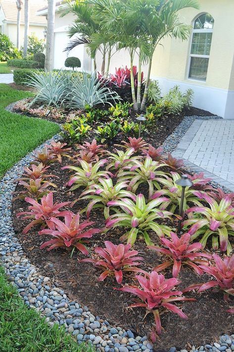 DIY Design & Decor saved to Tropical Patio DesignTropical Patio Design Ideas, Renovations & Photos #frontyard #landscaping #landscapedesign #landscapingideas Simple Landscape Design, Tropical Patio, Florida Landscaping, Tropical Garden Design, Small Front Yard Landscaping, Florida Gardening, Meteor Garden 2018, Patio Landscaping, Front Yard Garden