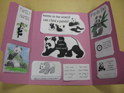 Panda Habitat Diorama, Panda Poster Board Project, Sloth Habitat, Endangered Animals Poster Project, Panda Project, Panda Activities, Endangered Animals Project, Endangered Species Activities, Tri Fold Poster