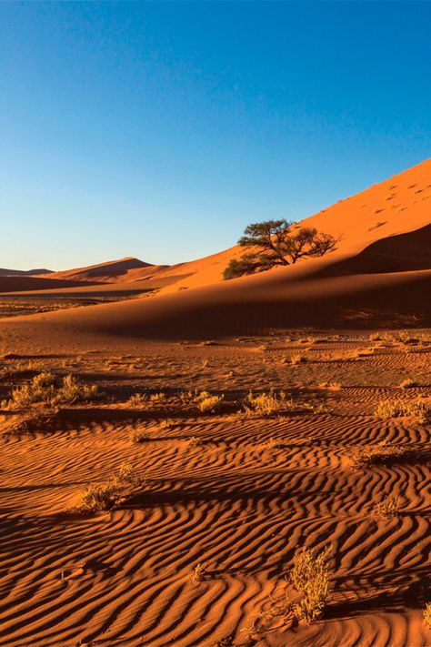 Kalahari Desert South Africa, Kgalagadi Transfrontier Park, Botswana Aesthetic, Bantu People, Sud Africa, Kalahari Desert, Northern Cape, Okavango Delta, Peace Corps