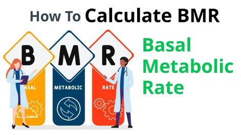 BMR (Basal Metabolic Rate) is the amount of energy (measured in calories) that the body needs to perform vital functions while at rest. Your BMR can help you determine how many calories you need to consume each day to maintain, lose weight or gain weight. Bmr Calculator, Basal Metabolic Rate, How To Regulate Hormones, Calories Per Day, Body Fat Percentage, Daily Energy, Strength Training Workouts, Nutrient Dense Food, Muscle Tissue