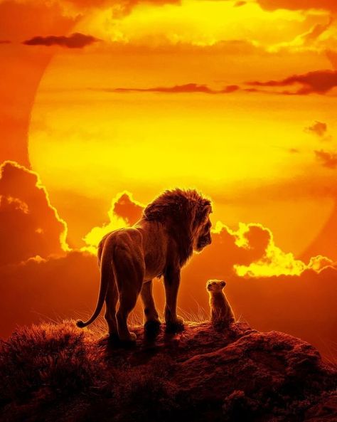 The Lion King (2019) USA / dir. Jon Favreau | Lion pictures, Lion king pictures, Animals beautiful 8k Wallpaper Iphone, Wild Animal Wallpaper, Lion King Pictures, Lion King Movie, 8k Ultra Hd, Jon Favreau, Il Re Leone, Afrique Art, Lion Wallpaper