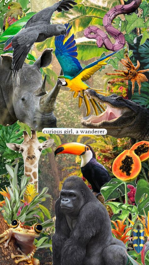 #Zoology, #animals, #jungle, #aesthetic, #wildlife, #wilderness, #forest, #animalaesthetic, #zoologyaesthetic Wildlife Photographer Aesthetic, Zoology Aesthetic Wallpaper, Animal Biology Aesthetic, Wildlife Conservation Aesthetic, Zoology Wallpaper, Zookeeper Aesthetic, Wildlife Biologist Aesthetic, Zoologist Aesthetic, Zoology Aesthetic