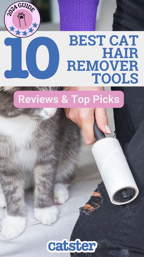 Here are 10 of the best cat hair remover tools based on extensive research, reviews, and expert testing. These remover tools will keep pet hair away from your belongings. Cat Behavior Facts, Funny Cat Names, Hair Remover Tool, Cat Wand, Cat Hair Removal, Cat Window Perch, How To Cat, Window Perch, Cat Litter Tray