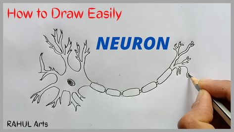 This video explains How to draw Diagram Of Nerve Tissue science biology in easy steps and compact way. This video helps you to draw science diagrams with great ease and clarity. Nervous or the nerve tissue is the main tissue of our nervous system. It monitors and regulates the functions of the body. Nervous tissue consists of two cells: nerve cells or neurons and glial cells, which helps transmit nerve impulses and also provides nutrients to neurons. Brain, Spinal Cord, and nerves are composed Nerve Cell Drawing, Spinal Cord Drawing, Neuron Diagram, Nervous Tissue, Science Pictures, Biology Drawing, Biology Diagrams, Science Diagrams, Cell Diagram