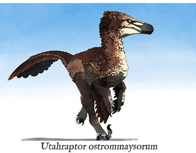 Check out new work on my @Behance profile: "Utahraptor" http://be.net/gallery/200334589/Utahraptor Feathered Raptor Art, Raptor Humanoid, Utahraptor Art, Anthro Dinosaur, Raptor Sketch, Raptor Skeleton, Dinosaur Oc, Utah Raptor, Winter Creatures