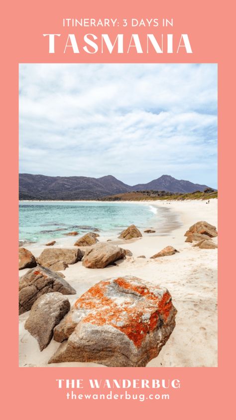 Photo of Wineglass Bay Beach Wineglass Bay, Tasmania Travel, Seafood Tower, 3 Days Trip, Visit Australia, Travel Wishlist, Beaches In The World, My Travel, Most Beautiful Beaches