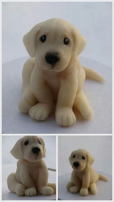 Lab puppy cake topper fondant Fondant Dog, Dogs Tips, Puppy Cake, Fondant Animals, Fondant Cake Toppers, Animal Cakes, Dog Cakes, Lab Puppy, Fondant Tutorial