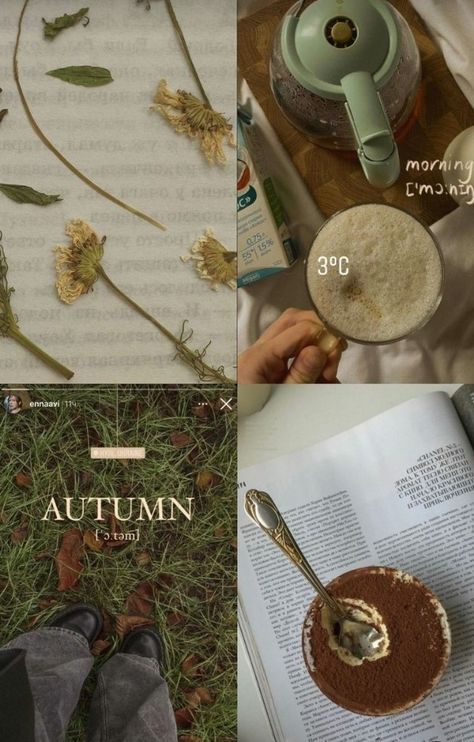 Fall Mood Aesthetic, Autumn Aesthetic Photos, Autumn Story Instagram, Autumn Aesthetic Pictures, Autumn Season Aesthetic, Fall Stories, Autumn Story, Autumn Fall Aesthetic, Autumn Instagram