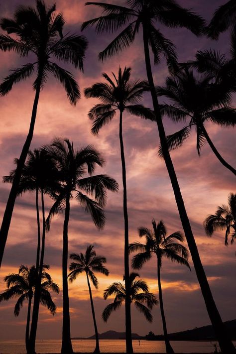 Hawaiian Sunset, Hawaiian Tattoo, Sunset Lover, Ios Wallpapers, Pretty Sky, Mauritius, Pretty Pictures, Iphone Wallpaper, Travel